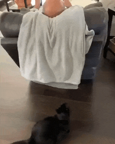 Morning Gifdump