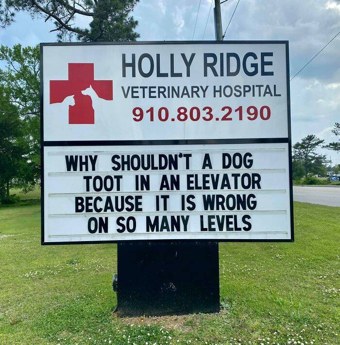 Hilarious Signs By Holly Ridge Veterinary Hospital