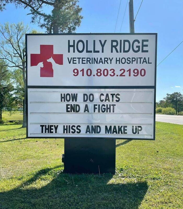 Hilarious Signs By Holly Ridge Veterinary Hospital