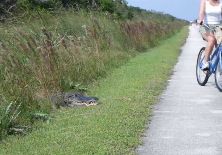 This Wildlife Photography Isn’t Very Good…