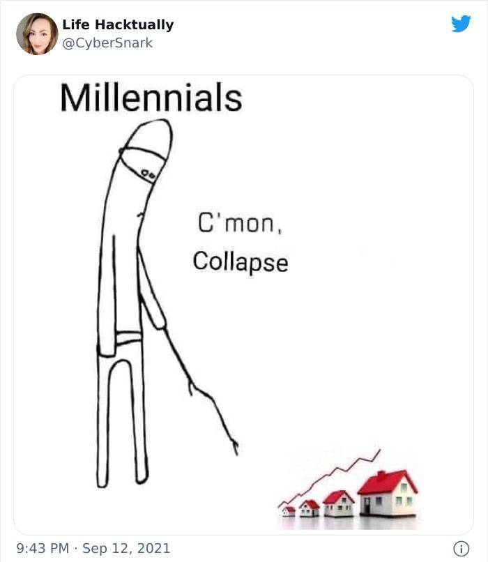 Millenials Share Memes Summarizing Their Struggles