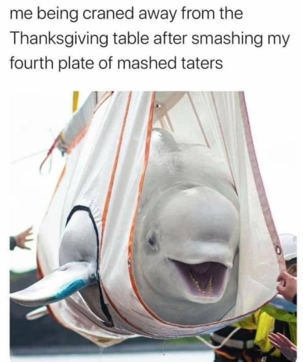 These Thanksgiving Memes Are Very Tasty!