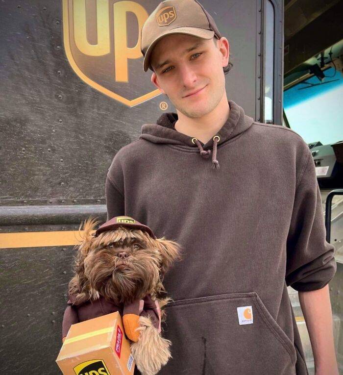 UPS Drivers Meeting Cute Dogs…