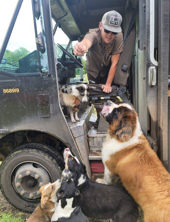 UPS Drivers Meeting Cute Dogs…