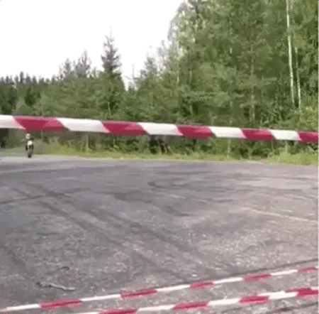 TOP 15 Gifs of the Week