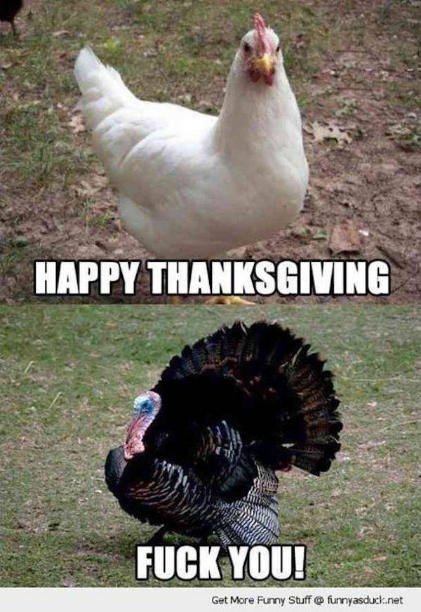 Thanksgiving In Memes. 