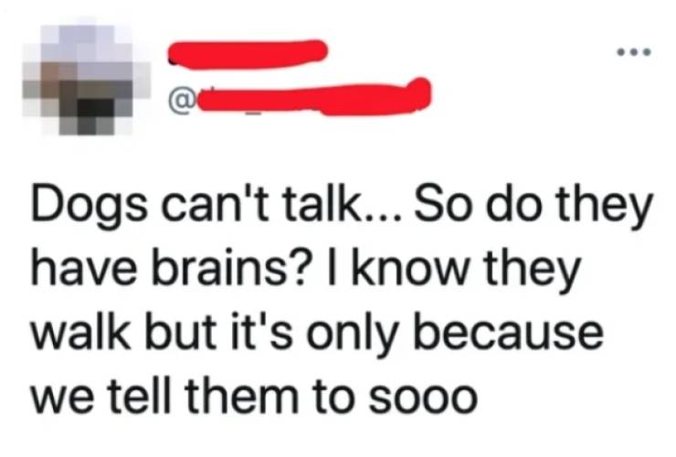 Not All People Are Smart…