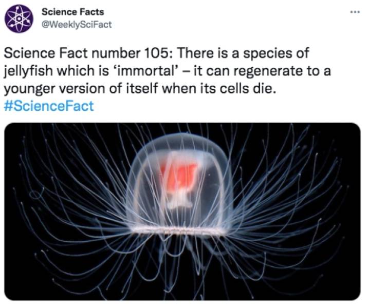 Some Surprising Science Facts For You!