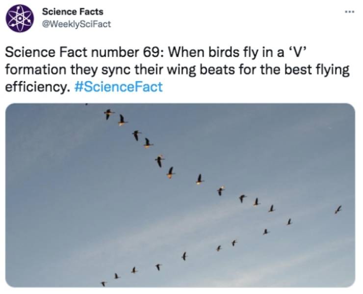 Some Surprising Science Facts For You!