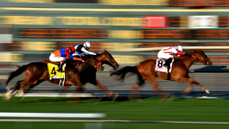 Top 5 Horse Races To Follow In 2022