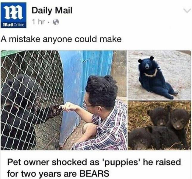Funniest Headlines Only