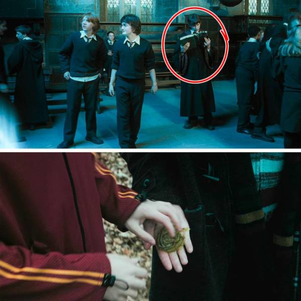 “Harry Potter” Details That Were Very Easy To Miss!