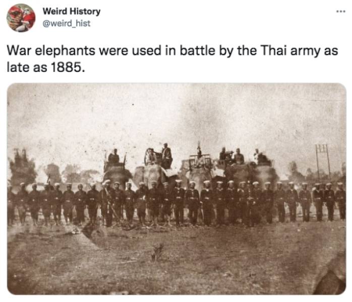 These History Facts Are Kinda Weird…