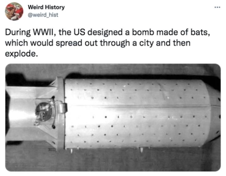 These History Facts Are Kinda Weird…
