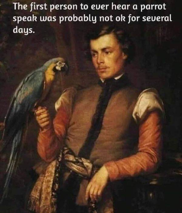 These History Memes Are Both Funny And Educational!