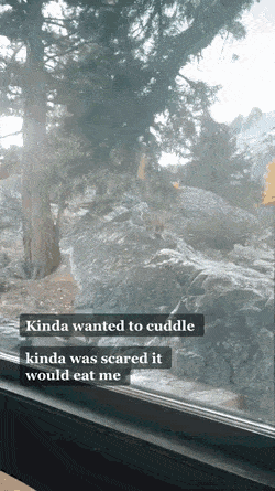 Daily Gifdump [WEEKEND EDITION]