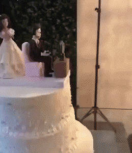 Daily Gifdump [WEEKEND EDITION]