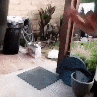 Daily Gifdump [WEEKEND EDITION]