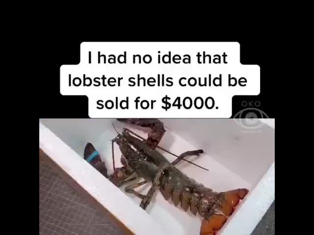 Just A Lobster Shell…