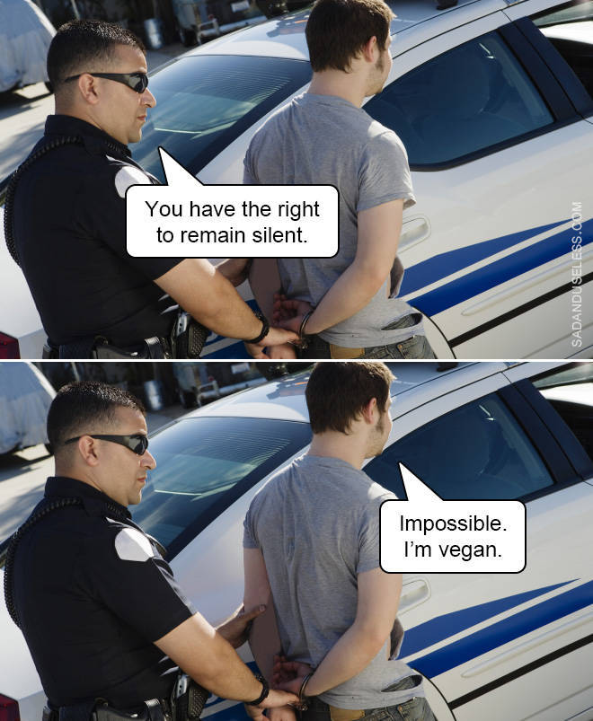 police_memes_have_the_right_to_remain_silent_640_high_14.jpg