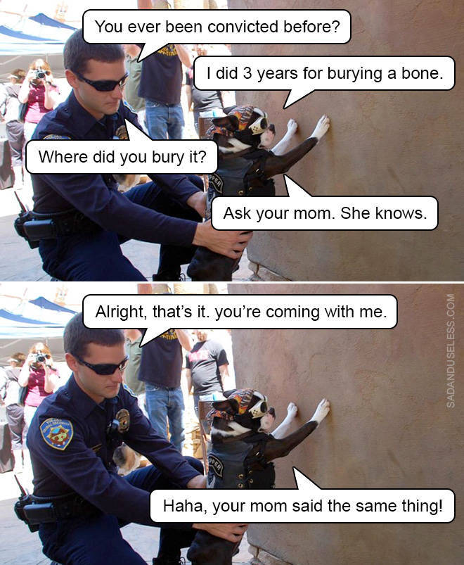 Police Memes Have The Right To Remain Silent