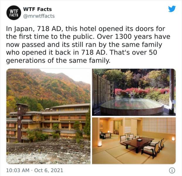 Weird Facts That Sound Fake But Aren’t