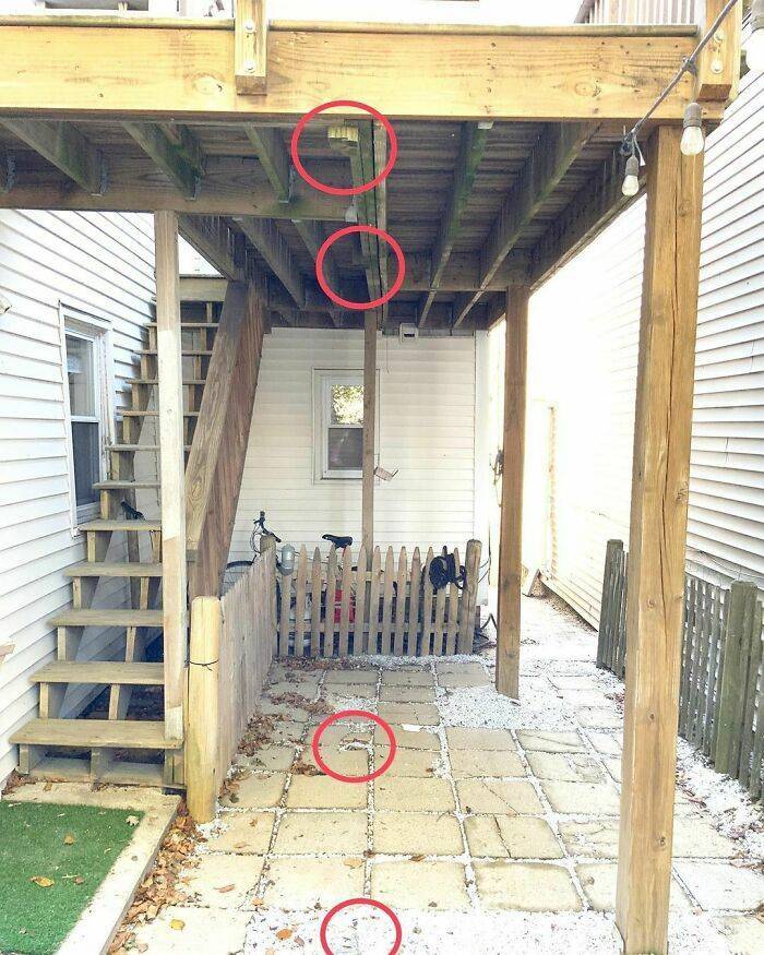 Home Inspections Gone Wrong…
