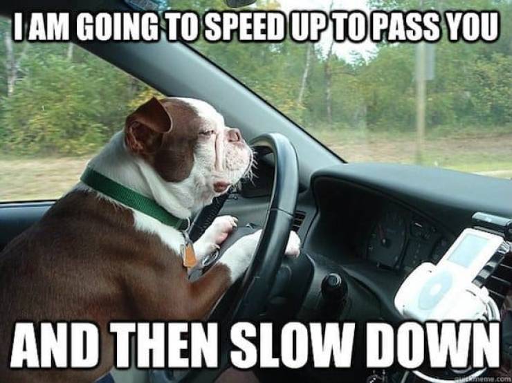 Don’t Rage At These Driving Memes!