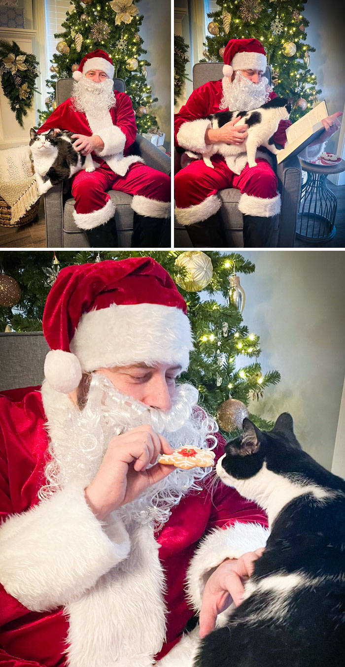 Pets Love Christmas Time!