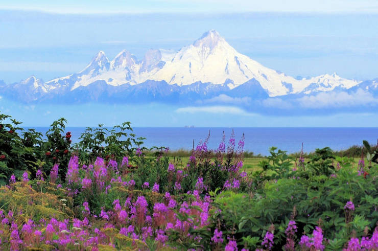 Alaska’s Nature Is Phenomenal!
