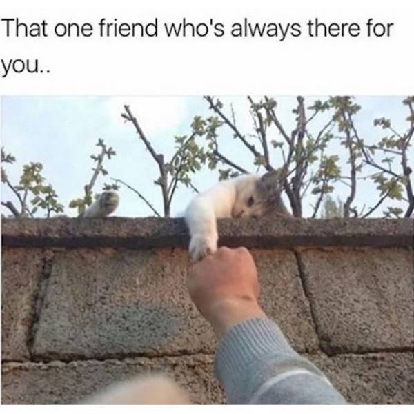 These Memes Are For Your Best Friends Only!