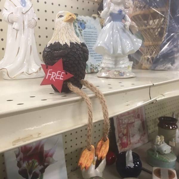Thrift Shops Will Never Be Not Weird…