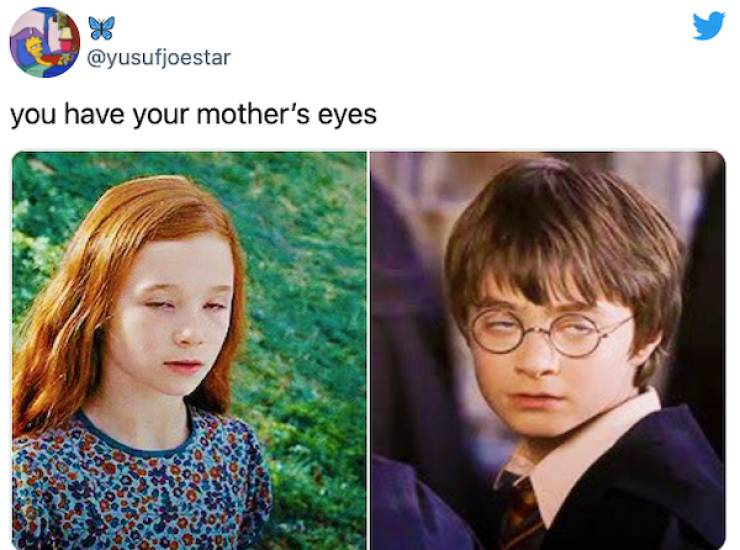Harry Potter And The Philosopher’s Meme