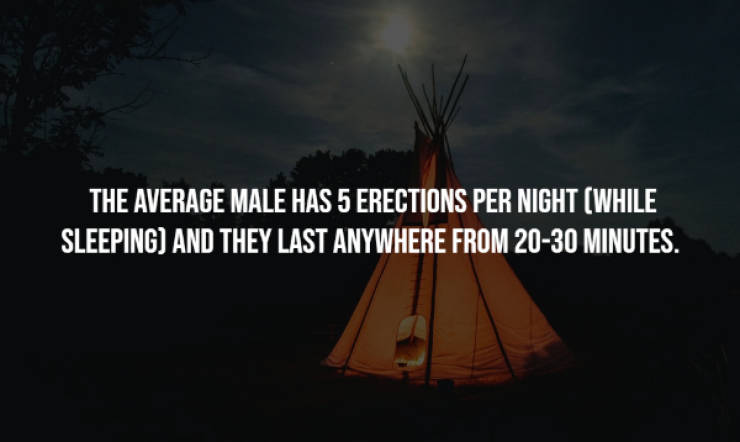 These Facts Are Random, There’s No Two Ways About It