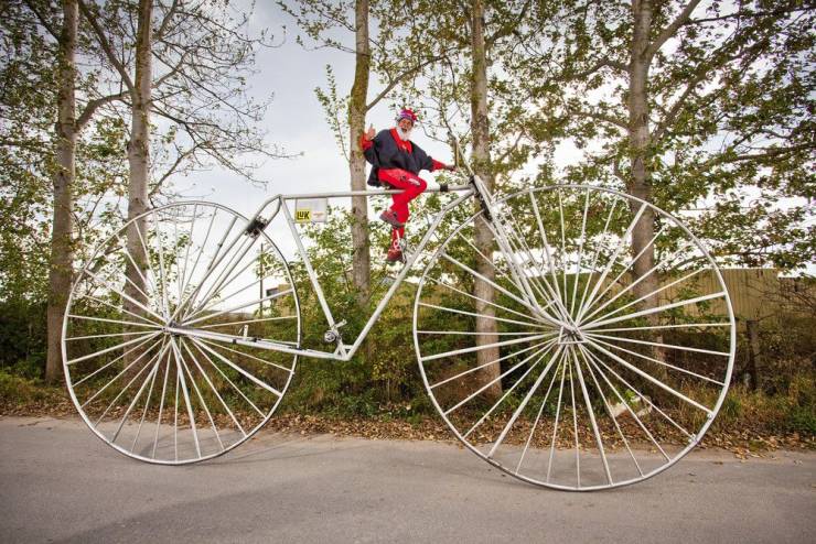 Daily Picdump