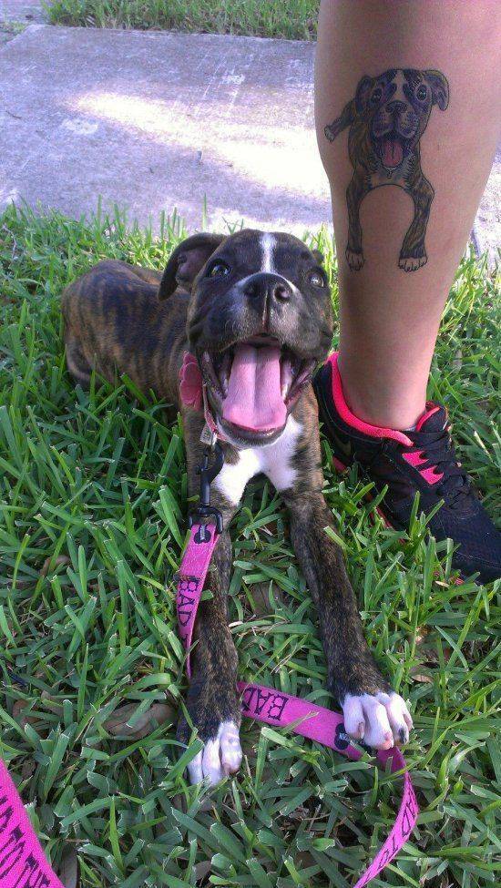 Daily Picdump