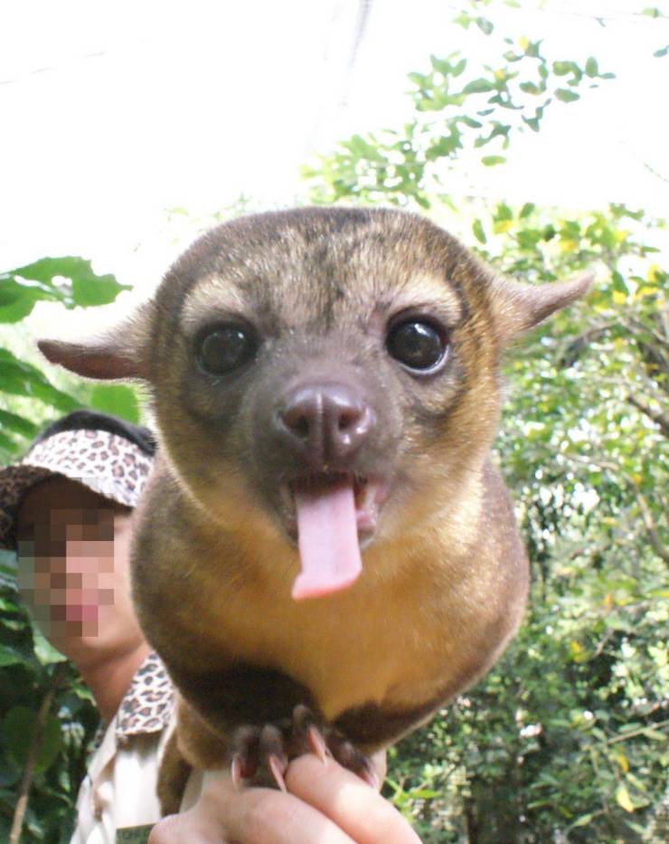 Daily Picdump