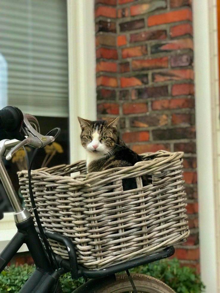 Daily Picdump