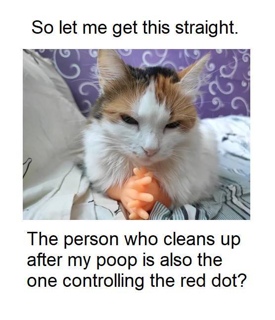 Funny Picdump