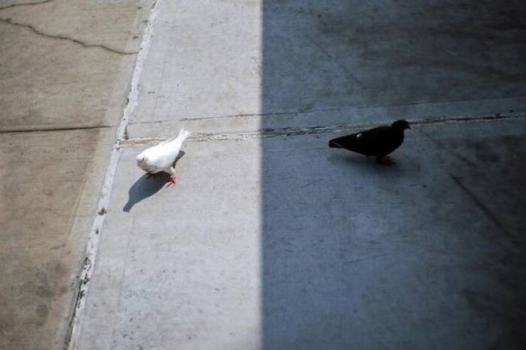 No Better Timing!