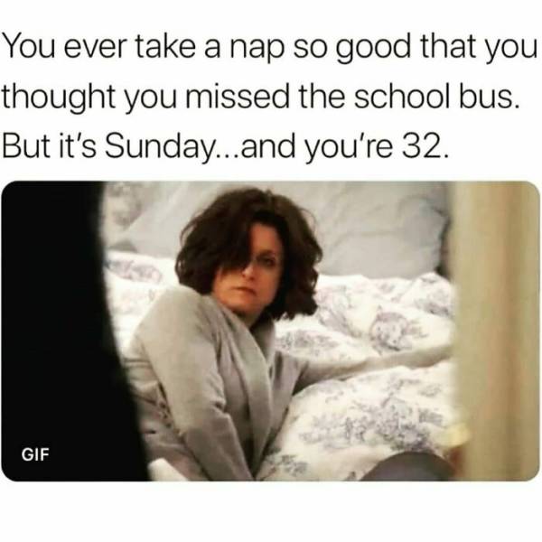 These Memes Are Very Relatable… And Very Sarcastic