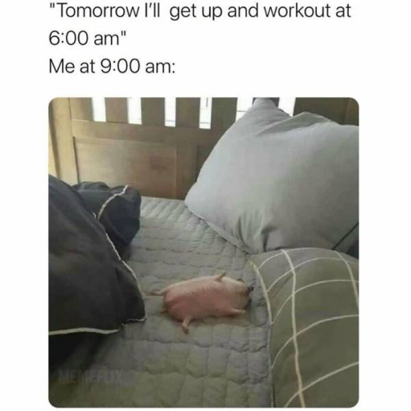 These Memes Are Very Relatable… And Very Sarcastic