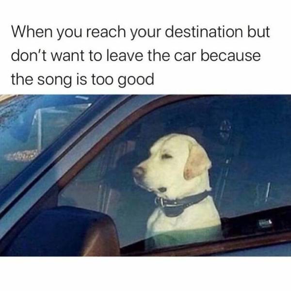 These Memes Are Very Relatable… And Very Sarcastic