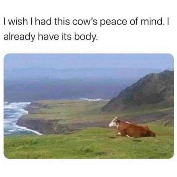 These Memes Are Very Relatable… And Very Sarcastic
