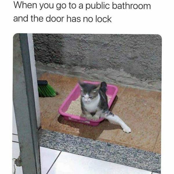 These Memes Are Very Relatable… And Very Sarcastic