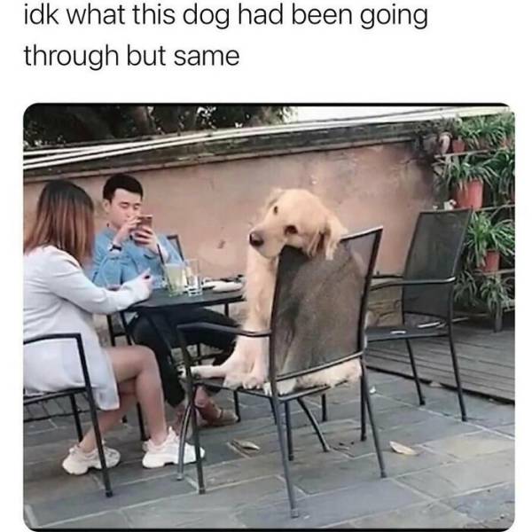 These Memes Are Very Relatable… And Very Sarcastic