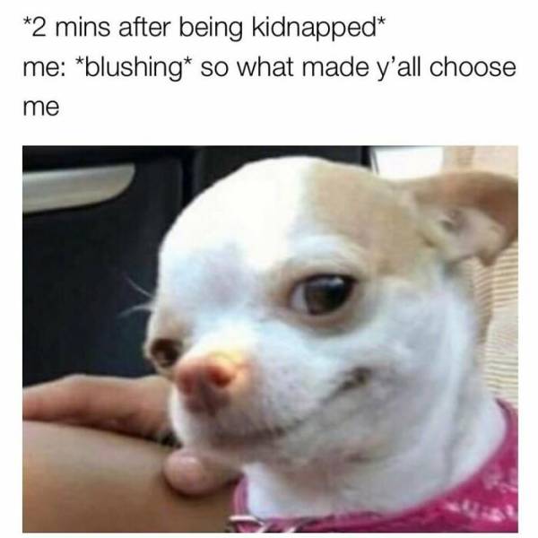 These Memes Are Very Relatable… And Very Sarcastic