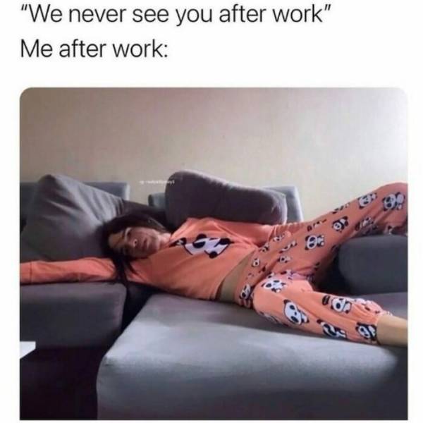 These Memes Are Very Relatable… And Very Sarcastic