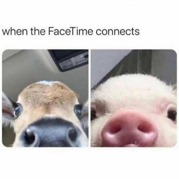 These Memes Are Very Relatable… And Very Sarcastic