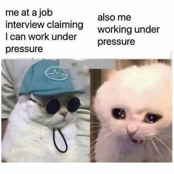 These Memes Are Very Relatable… And Very Sarcastic